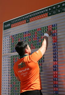 kaiyun开云体育-世界青少年搏击锦标赛中国群英尽展风采，青少年搏击公开赛