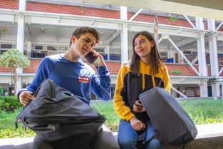 开云体育官网下载-世界青少年攀岩技能大赛在上海盛大举行，众少年展风采，2020年全国青少年攀岩锦标赛