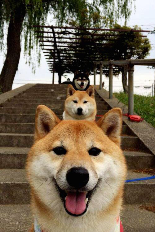 校园体育竞赛文化育人功能发挥策略，校园体育文化建设包括哪些