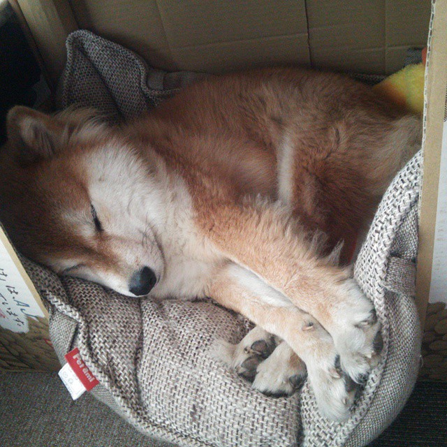 篮球运动员心理恢复训练效果评估,篮球心理素质训练