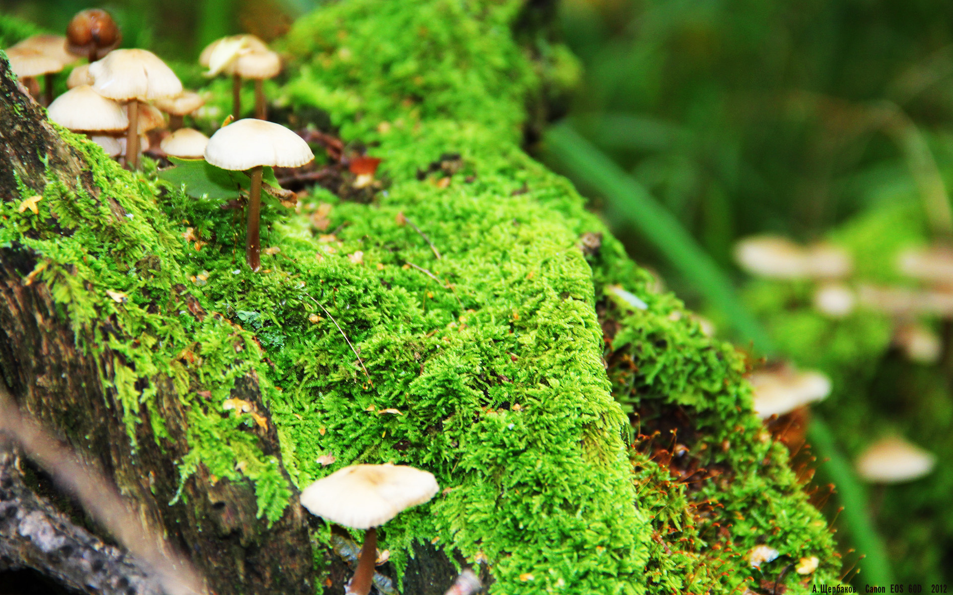 中超多队开展球迷开放日活动气氛热烈,中超申请开放球迷进场