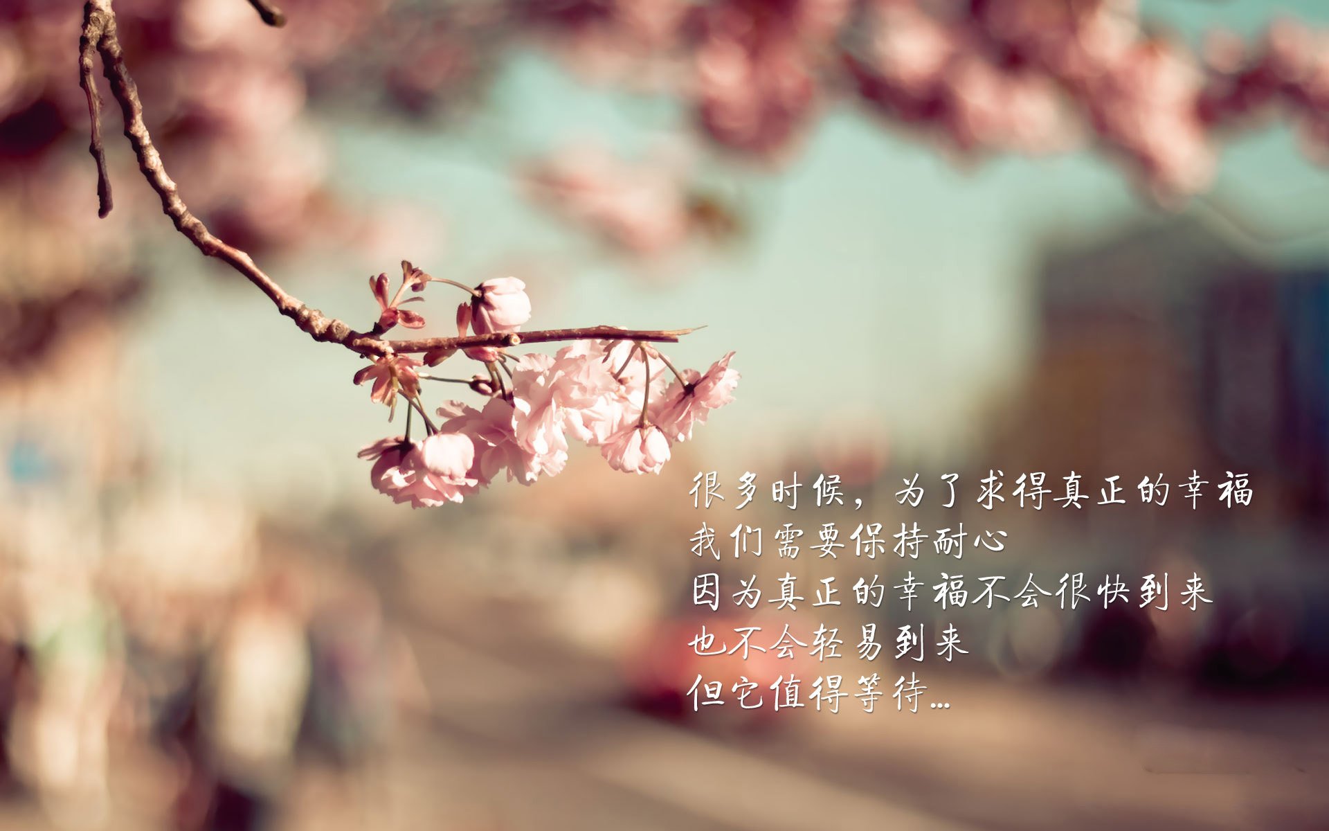 滑板街头文化展点燃城市运动热情，街头滑板场地