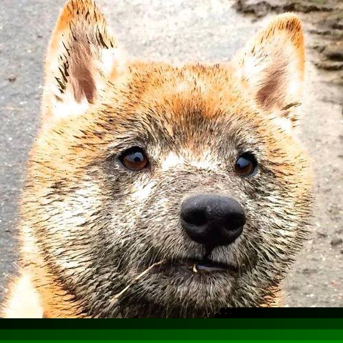 球员缺乏系统抗压训练影响关键表现，球员缺乏系统抗压训练影响关键表现吗