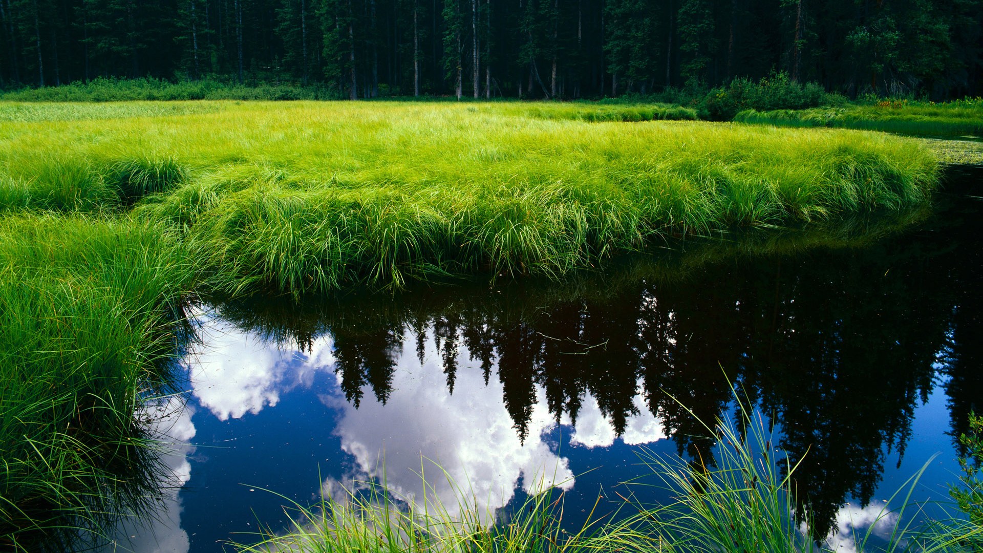 开yun官网-男子混合泳接力斩获铜牌，男子混合泳接力世界纪录