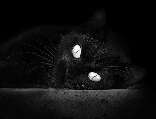 蒙彼利埃防线厚度增强提升稳定性,蒙彼利埃怎么样