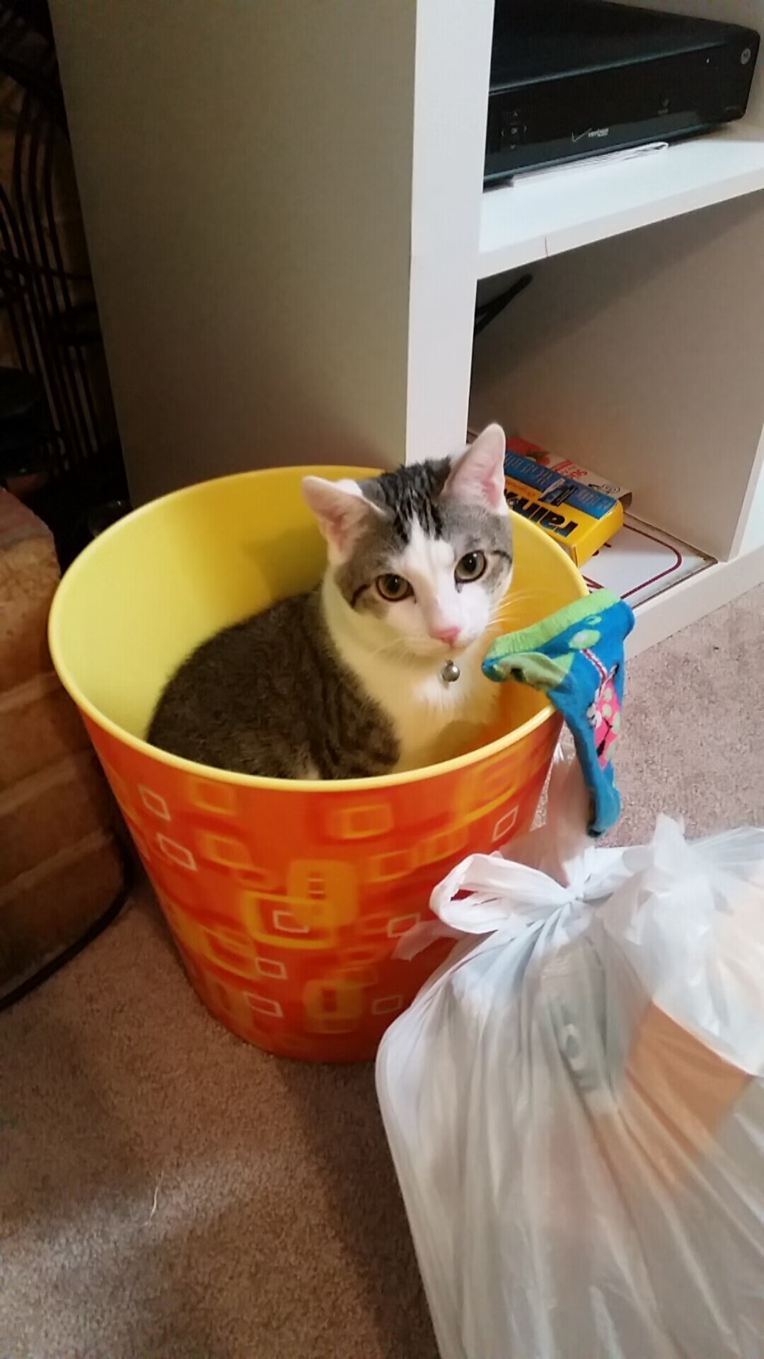 开云体育app注册-门将出球方式是否直接连接全队防守反击效率，门将出球方式是否直接连接全队防守反击效率最高的