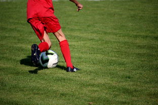 开云体育在线登入-中国足球是否应该建立球员行为规范体系，中国足球规划球员政策