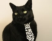 中国足球是否应该建立球员行为规范体系，中国足球规划球员政策