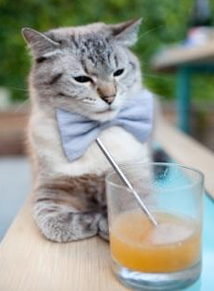 中国足球青少年足球节活动组织，全国青少年校园足球活动实施方案